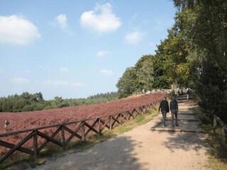 Ferienpark Holten Umgebung 29