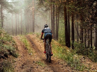 Ferienpark Holten Umgebung 17