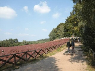 Parc de vacances Holten Environnement 28