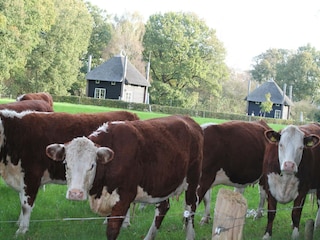 Ferienpark Rijssen Umgebung 18