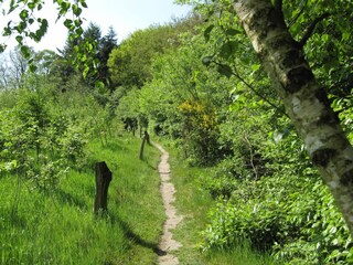 Vakantiepark Rijssen Omgeving 24
