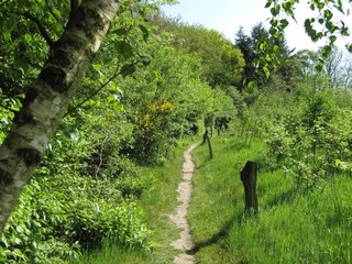 Parc de vacances Rijssen Environnement 22