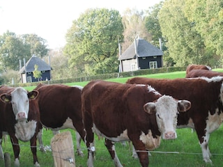 Vakantiepark Rijssen  27
