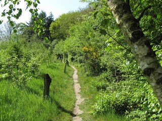 Parque de vacaciones Rijssen Entorno 20