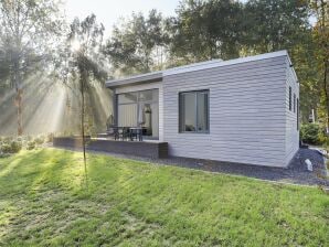 Vakantiepark Chalet met vaatwasser, in de buurt van Almelo - Binnenkomen - image1