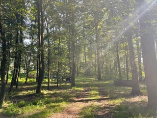 Ferienpark Enter Umgebung 30