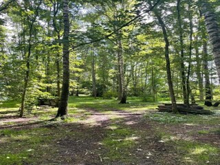 Parc de vacances Enter Environnement 31