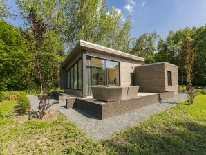 Vakantiepark Modern chalet met vaatwasser nabij Almelo - Binnenkomen - image1