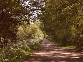 Parco vacanze Enter Ambiente 26