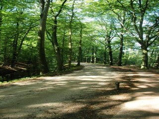 Ferienpark Enter Umgebung 19