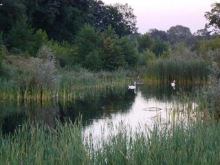 Parc de vacances Enter Environnement 20