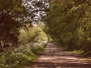 Ferienpark Enter Umgebung 26