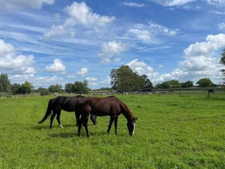 Holiday park Enter Environment 29