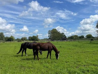 Parco vacanze Enter Ambiente 23