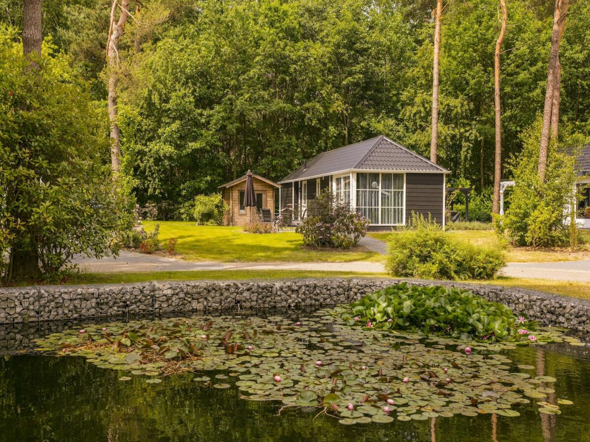 Ferienpark Markelo Außenaufnahme 5