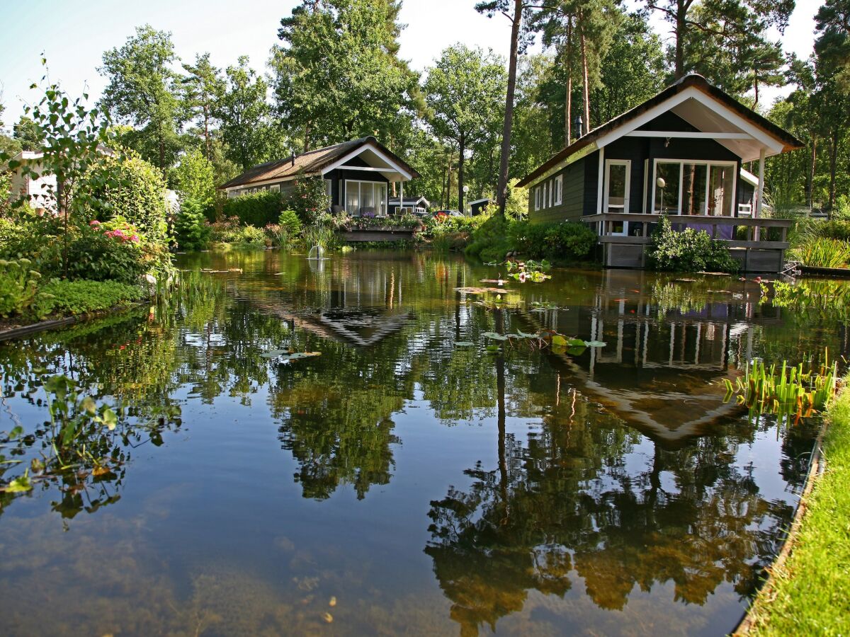 Ferienpark Markelo Außenaufnahme 2