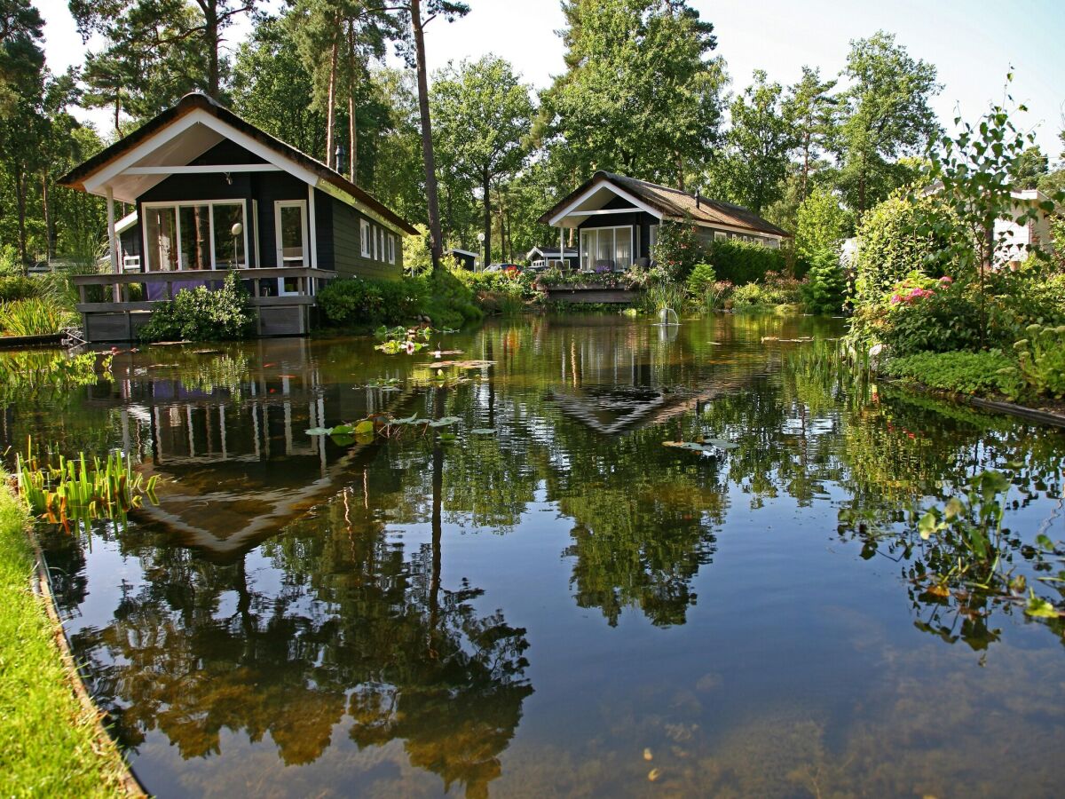 Ferienpark Markelo Außenaufnahme 5