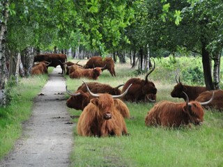 Vakantiepark Haaksbergen Omgeving 28