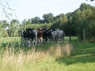 Vakantiepark Haaksbergen Omgeving 20