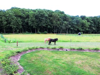 Ferienpark Losser  19