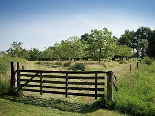 Vakantiepark Rijssen Omgeving 15