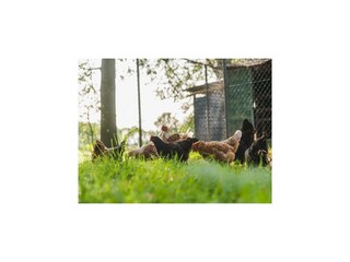 Parc de vacances Rijssen  18