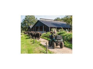 Parco vacanze Rijssen  21