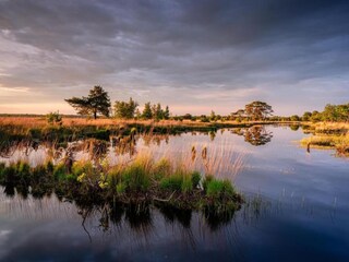 Casa per le vacanze Schoonoord Ambiente 17