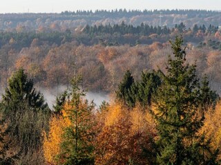 Ferienhaus Schoonoord Umgebung 21