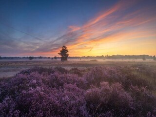 Vakantiehuis Schoonoord Omgeving 32