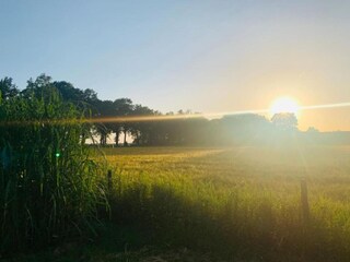 Ferienhaus Schoonoord Umgebung 21