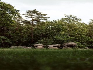 Casa per le vacanze Schoonoord Ambiente 36