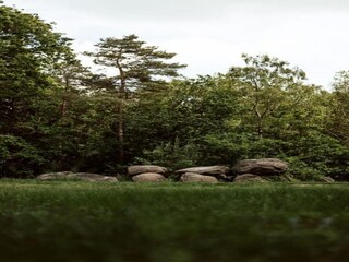 Ferienhaus Schoonoord Umgebung 35