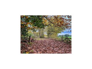 Vakantiehuis Schoonoord Omgeving 39