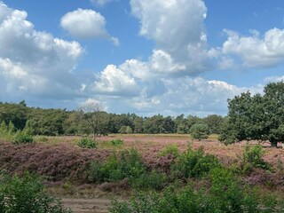 Vakantiehuis Schoonoord Omgeving 22