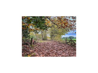 Casa de vacaciones Schoonoord Entorno 23