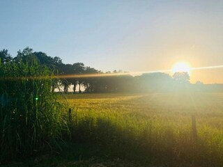 Vakantiehuis Schoonoord Omgeving 50
