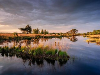 Vakantiehuis Schoonoord Omgeving 30