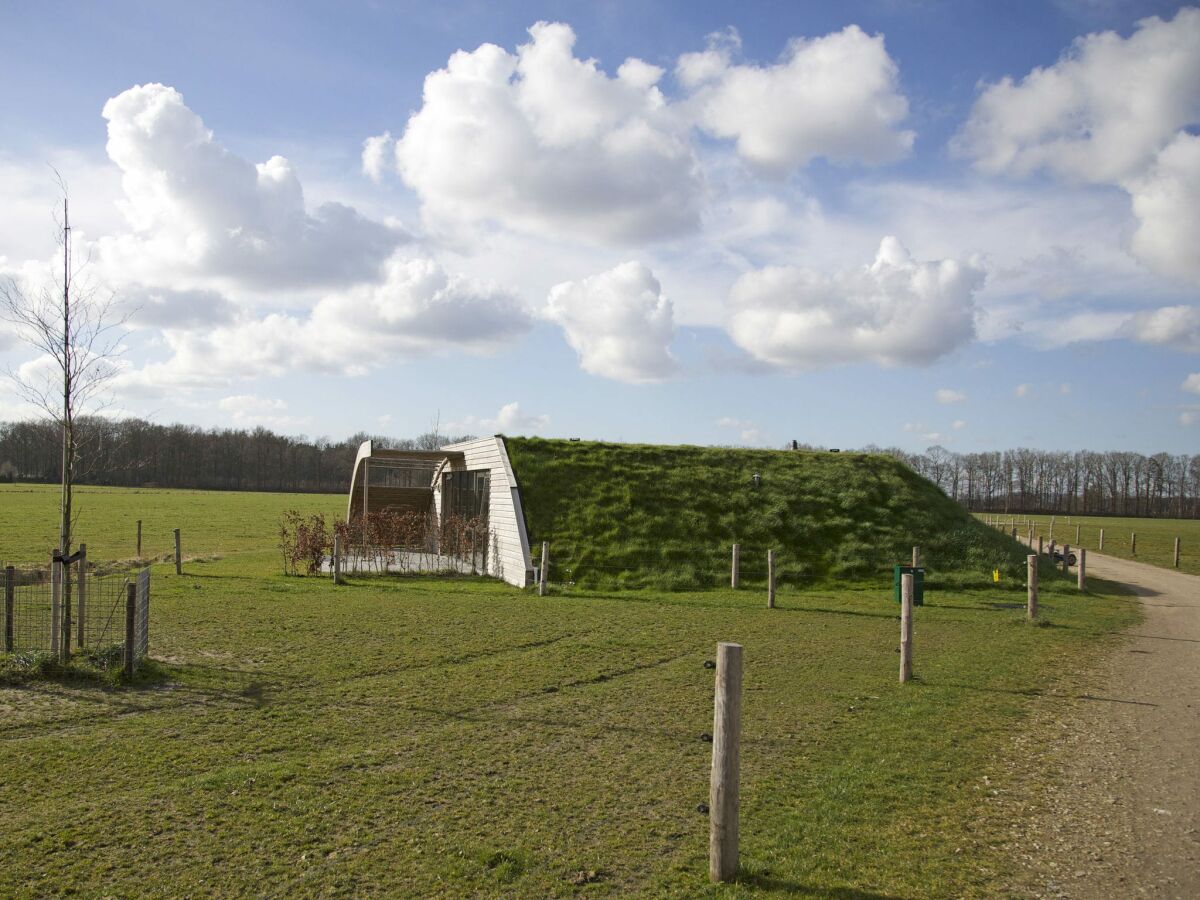 Ferienpark Schalkhaar Außenaufnahme 2