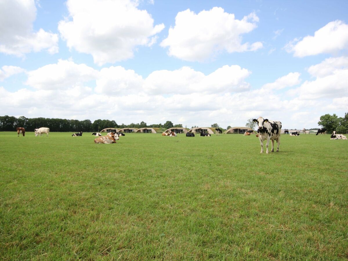 Ferienpark Schalkhaar Außenaufnahme 5