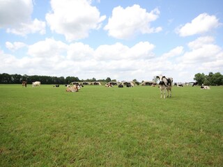 Parc de vacances Schalkhaar Enregistrement extérieur 4