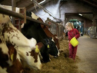 Ferienpark Schalkhaar  25