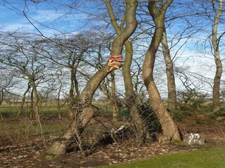 Ferienpark Schalkhaar Umgebung 20