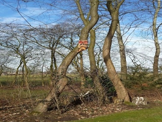 Parc de vacances Schalkhaar Environnement 23