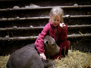 Parc de vacances Schalkhaar  36
