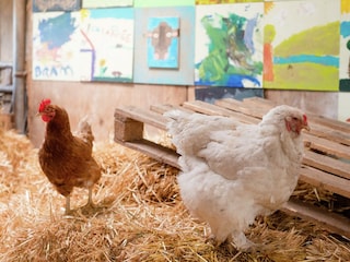 Parc de vacances Schalkhaar  32