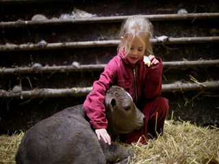 Vakantiepark Schalkhaar  35