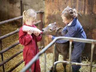 Ferienpark Schalkhaar  36