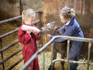 Parc de vacances Schalkhaar  36