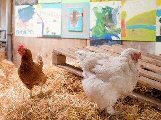 Parc de vacances Schalkhaar  34